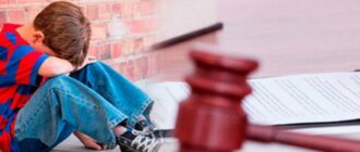 лишение родительских прав за неуплату алиментов образец искового заявления